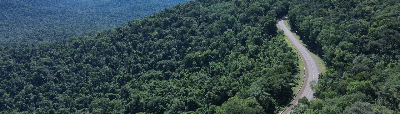 Billboard background